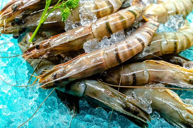 Les exportations de produits aquatiques en hausse de 14  en cinq mois